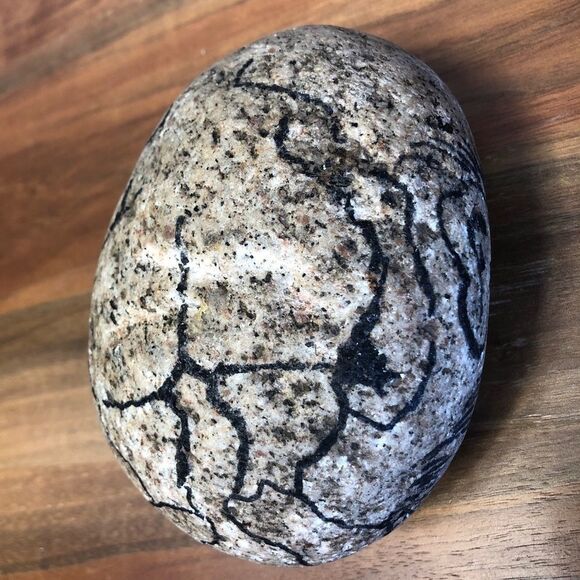 That’s Right, I’m Selling a Rock - Picture 6 of 7